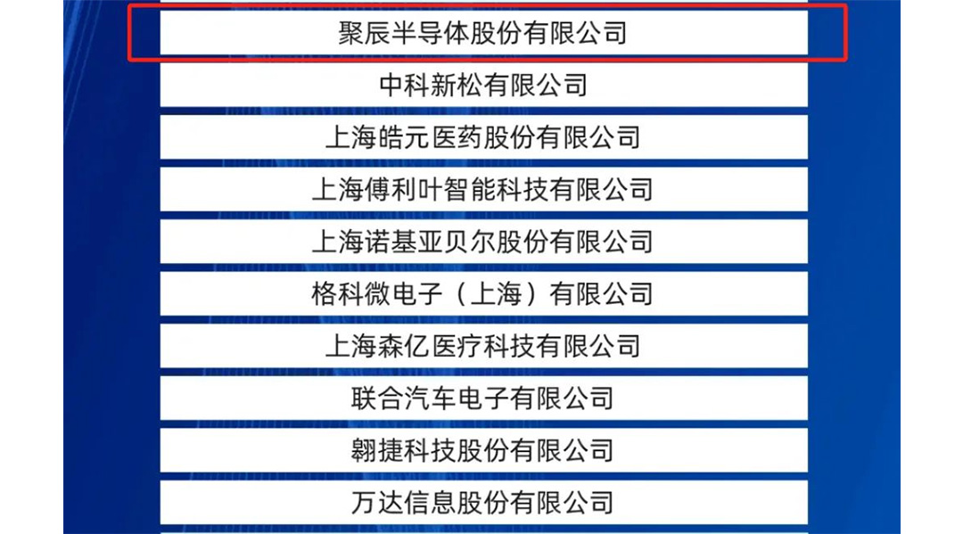 agingames股份入选2024上海硬核科技企业TOP100榜单